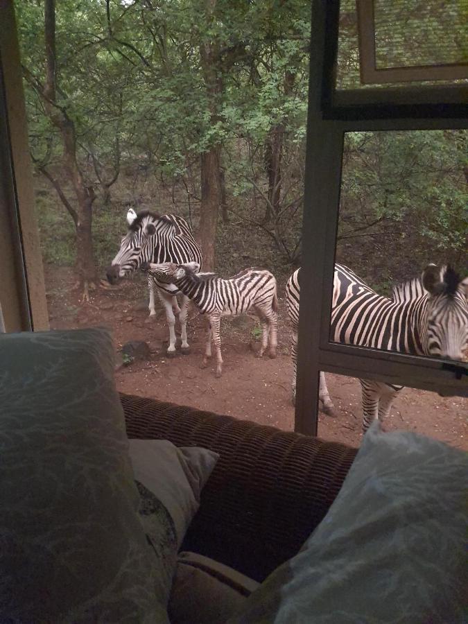 Canyon Guest Villa Hoedspruit Exterior foto